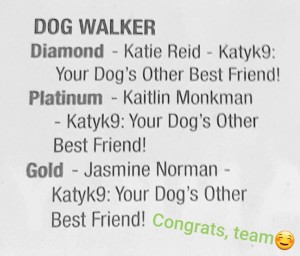 KatyK9 Best Dog Walker Toronto