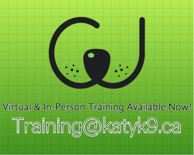 vitrual and in-person dog training with KatyK9