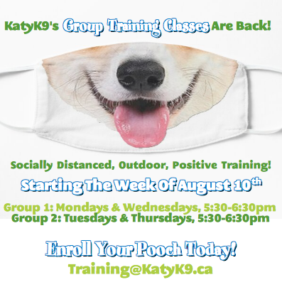 KatyK9GroupTraininingPuppyTrainingCovid