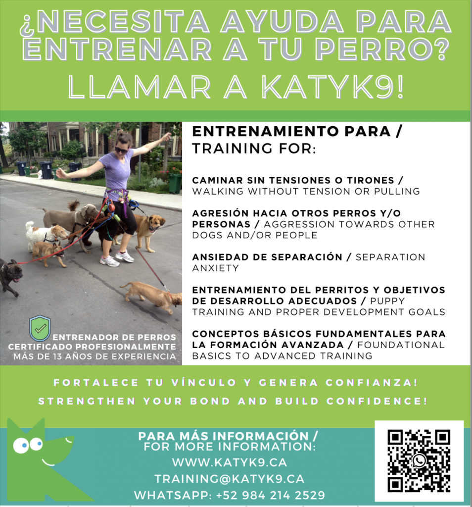 KatyK9 Dog Training in Oaxaca